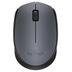 Logitech M170 Wireless USB mouse